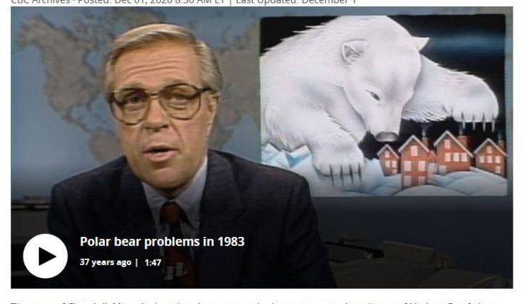 The mystery of the Hudson Bay bears who left the coast in late 1983 with a video from the CBC archives - Watts Up With That?


