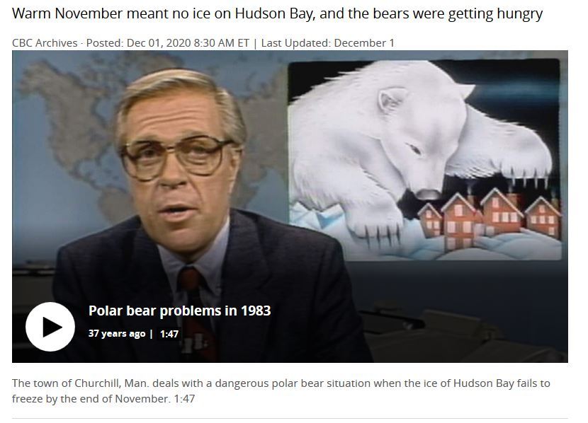 The mystery of the Hudson Bay bears who left the coast in late 1983 with a video from the CBC archives - Watts Up With That?