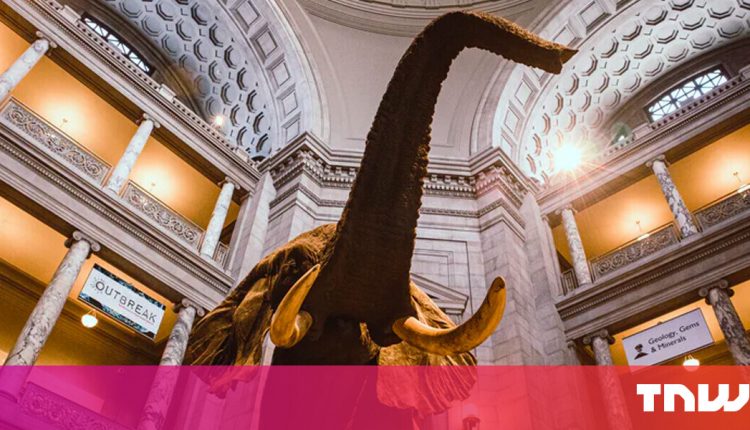 Night at the museum brought to life with new mixed reality technology

