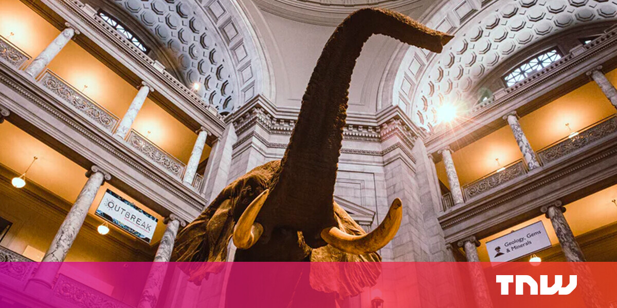 Night at the museum brought to life with new mixed reality technology