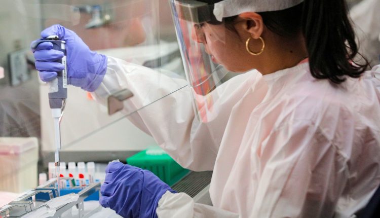 New York conducts 1,000 genome tests a week to look for Covid variants

