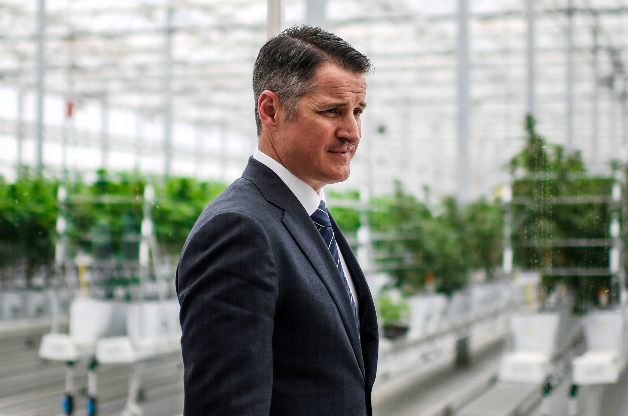 Tilray CEO expects the US federal government to legalize cannabis within two years