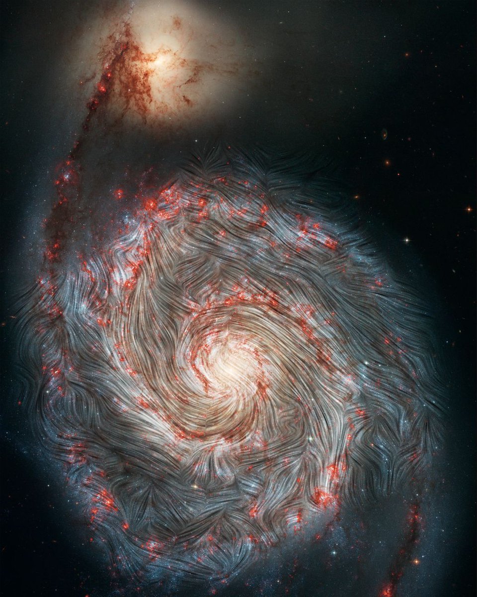 The magnetic fields that swirl in the Whirlpool galaxy