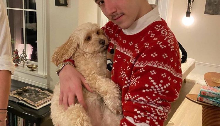 21 TikTok stars will follow in 2021: Frankie Jonas, Benny Drama and more

