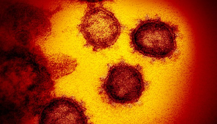 Everything you need to know is here

