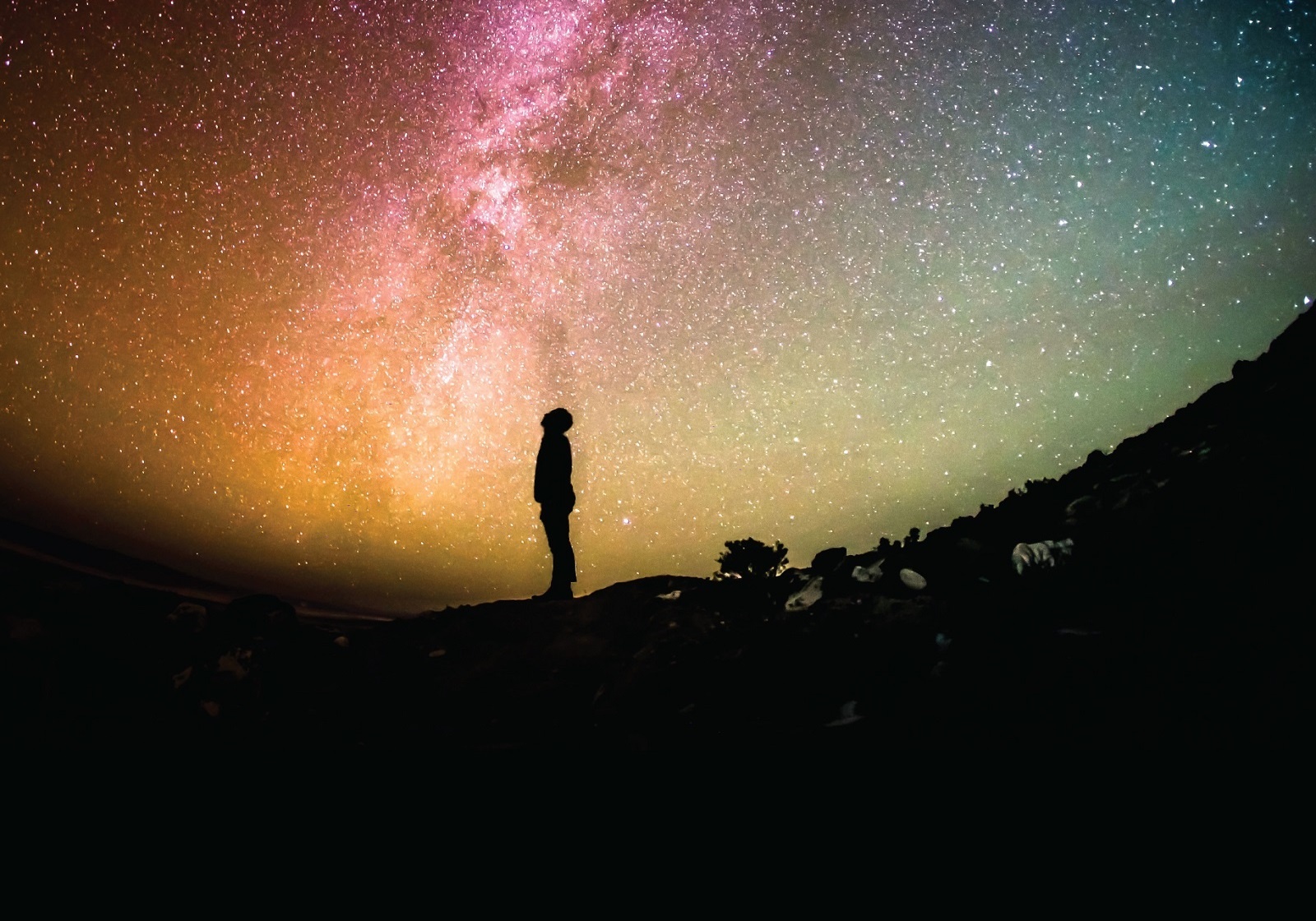 A Review of "Extraterrestrial" by Prof. Avi Loeb