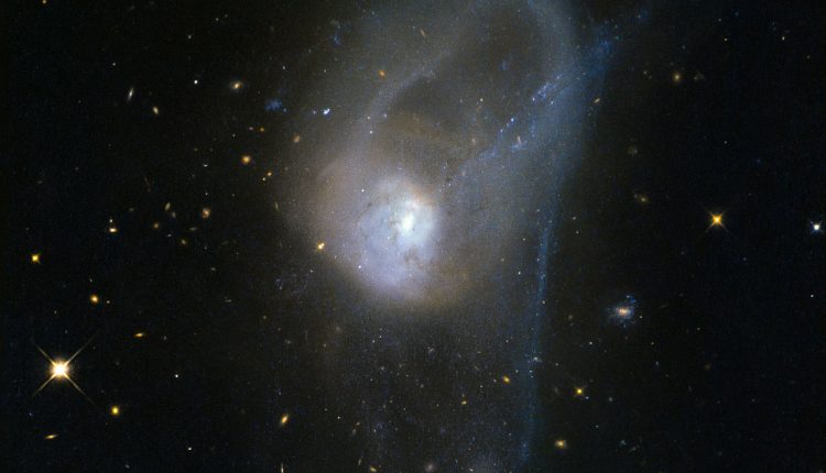 Galaxy mergers can promote star formation and also turn it off

