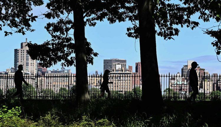 Misdemeanor Charges Dismissed Against Amy Cooper After Graduating from Racial Bias Education Program (Update)

