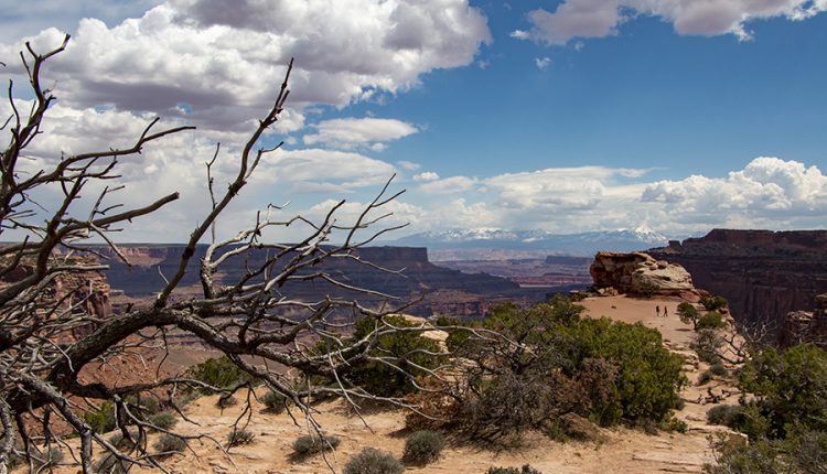 Weekly Climate And Energy News Roundup #441 – Watts Up With That?