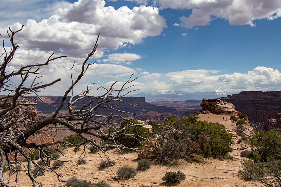 Weekly Climate And Energy News Roundup #441 – Watts Up With That?