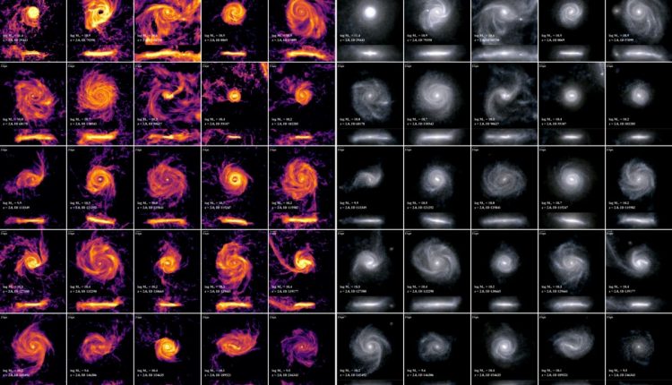 Astronomers can use the shape and size of their disk to predict when a galaxy's star formation will end

