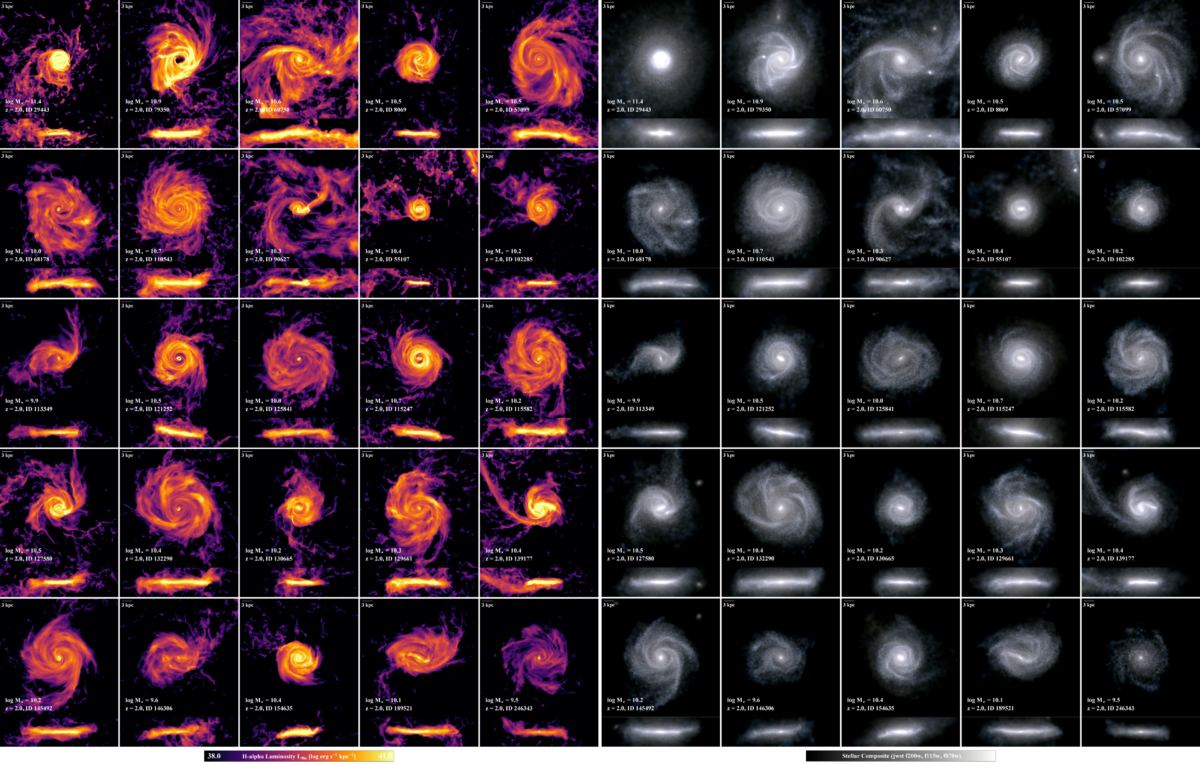 Astronomers can use the shape and size of their disk to predict when a galaxy's star formation will end
