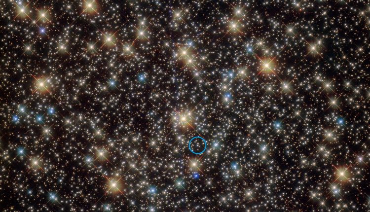 A collection of black holes in a globular cluster

