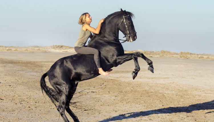 Whoa there, with the infrastructure projects, simple. Is it with the economic recovery - what does that matter?

