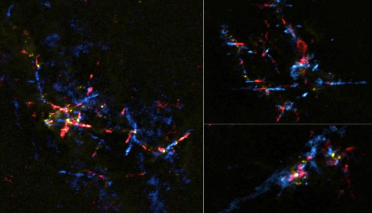Stellar Eggs Near Galactic Center Hatching Into Baby Stars - Watts Up With That?

