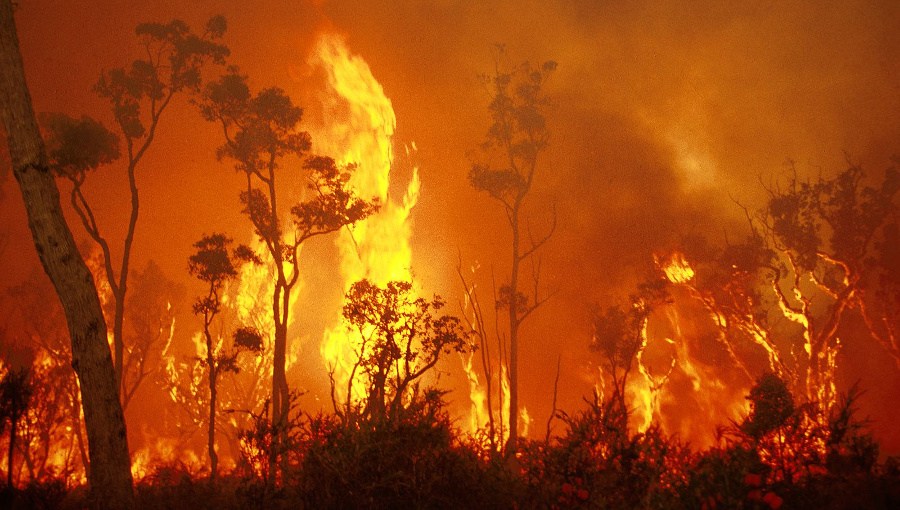 Reduce CO2 emissions to restore climate stability to Australia.