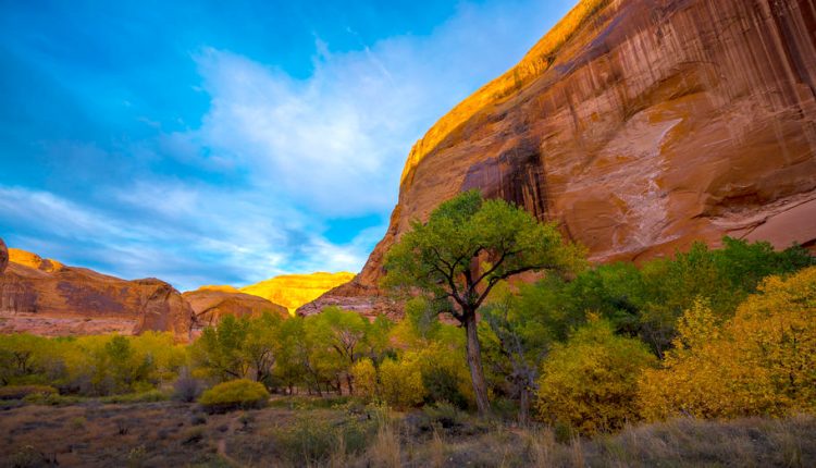 Weekly Climate and Energy News Roundup #455 – Watts Up With That?