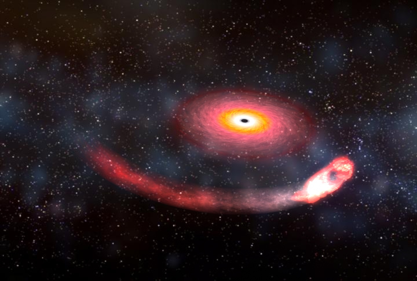 Collisions with black hole neutron stars could finally regulate the various measurements of the expansion rate of the universe