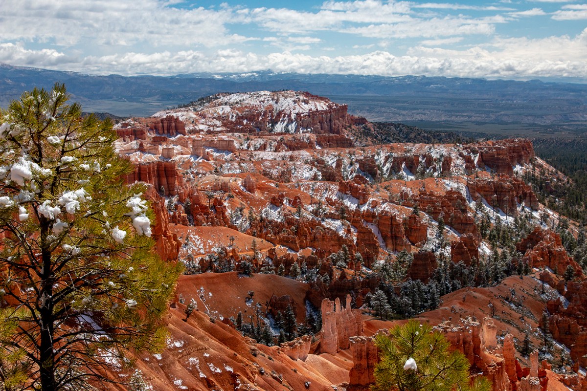 Weekly Climate and Energy News Roundup #453 – Watts Up With That?