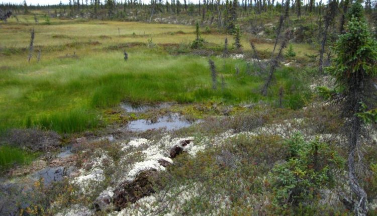 Permafrost Carbon Feedback Threatens Global Climate Goals - Watts Up With That?

