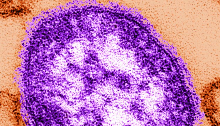 250,000 kindergarten children are at risk due to falling vaccination rates

