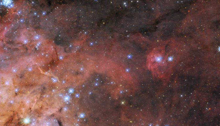 Hubble's new view of the Tarantula Nebula

