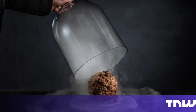 Mammoth meatball beef exposes foodtech's patent issue

