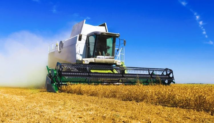 World Record Grain Production Forecast for 2023/24 - Are You Happy With It?

