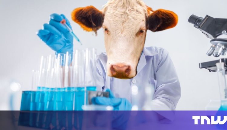 US approval for cultured meat "sets a framework" for Europe


