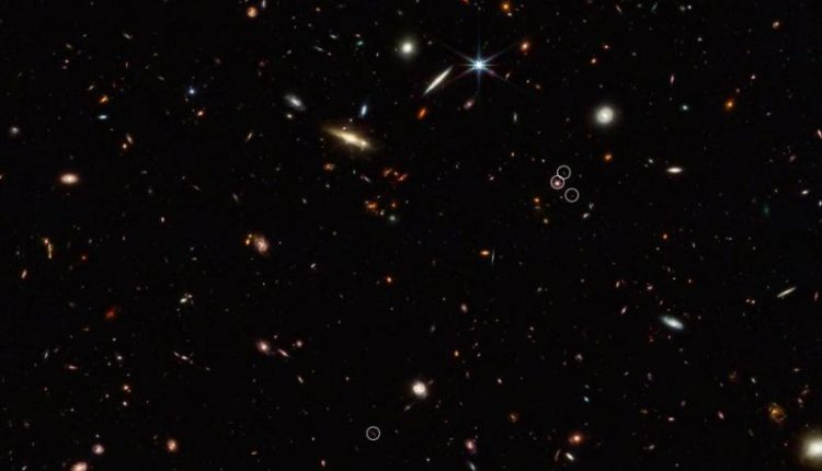 JWST sees the beginning of the cosmic web

