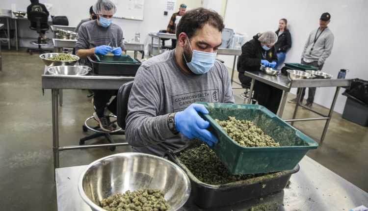 HHS calls for easing marijuana restrictions