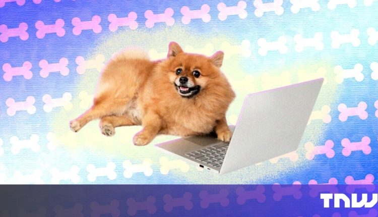 How to apply for a job you’re not fully qualified for