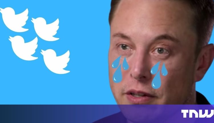 France’s AFP sues Twitter over non-payments for displaying news