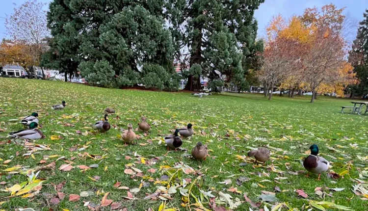 Climate Scientists More Generally, & Boris Kelly-Gerreyn More Specifically – Watts Up With That?