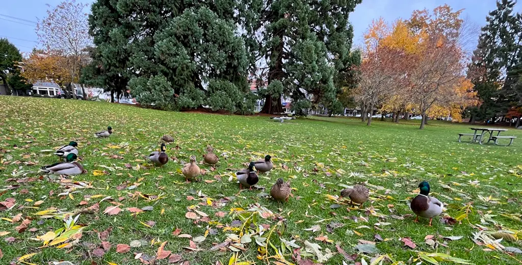 Climate Scientists More Generally, & Boris Kelly-Gerreyn More Specifically – Watts Up With That?