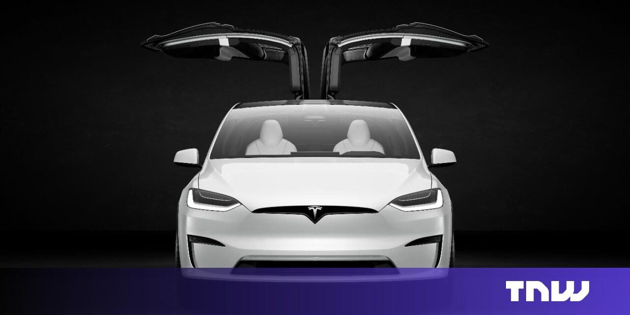 Red Sea shipping crisis latest headache for Tesla in Europe