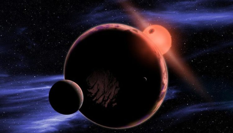 Could Earth Life Survive on a Red Dwarf Planet?