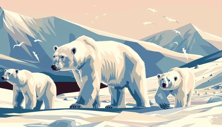 Hudson Bay polar bears now considered most likely to survive future sea ice loss – Watts Up With That?
