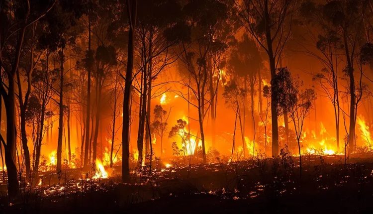 Uncertainty, Risk, and Pragmatics – Watts Up With That?