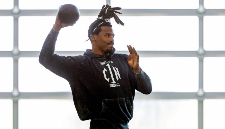 Cam Newton apologizes for role in youth football scuffle