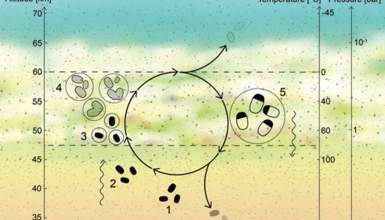 Could life exist in water droplet worlds in the atmosphere of Venus?

