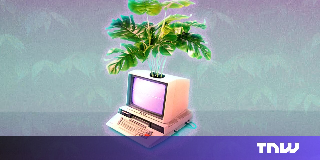 7 Certifications Software Developers Should Consider to Advance Their Career