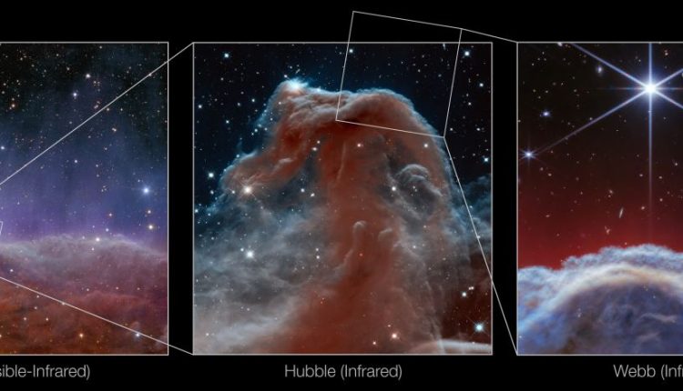 Insanely detailed Webb image of the Horsehead Nebula

