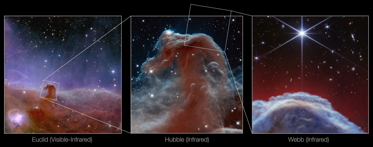 Insanely detailed Webb image of the Horsehead Nebula