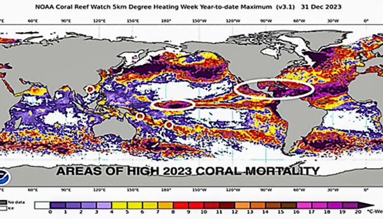 Downplaying light stress to hype up global warming misinforms the public about coral bleaching – what’s the point?

