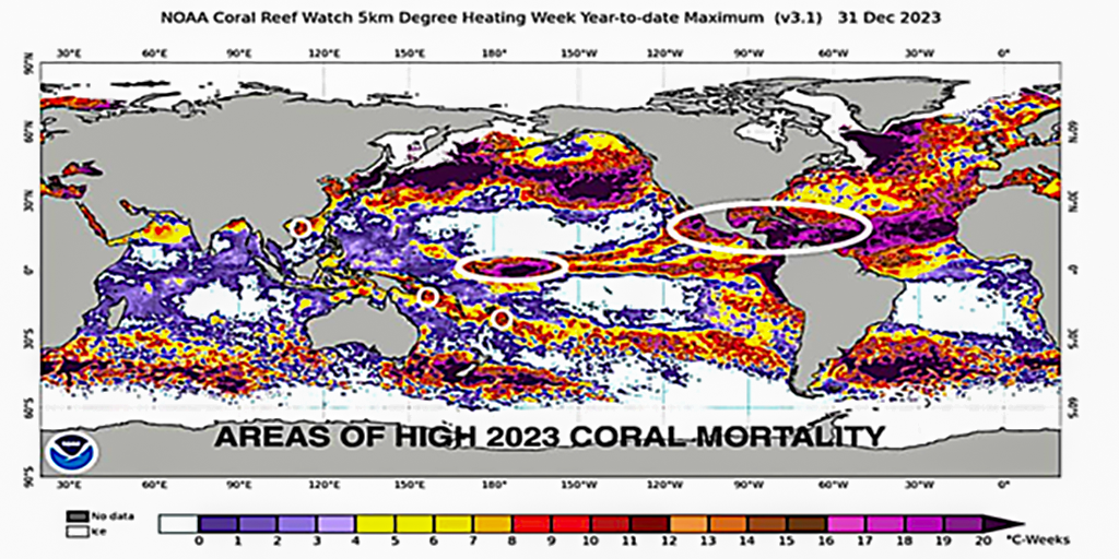 Downplaying light stress to hype up global warming misinforms the public about coral bleaching – what’s the point?