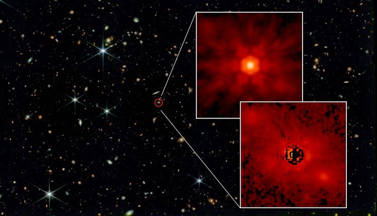 Supermassive black holes formed from giant cosmic seeds

