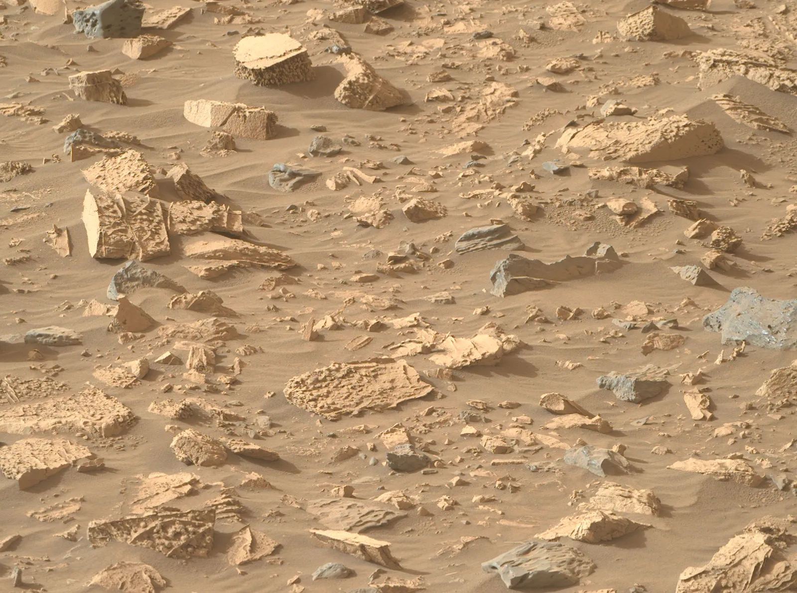 These rocks in Bright Angel have unusual popcorn-like textures and abundant mineral veins. Image Credit:  NASA/JPL-Caltech/ASU