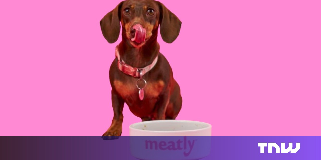 Great Britain grants first European approval for cultured meat – for animal feed