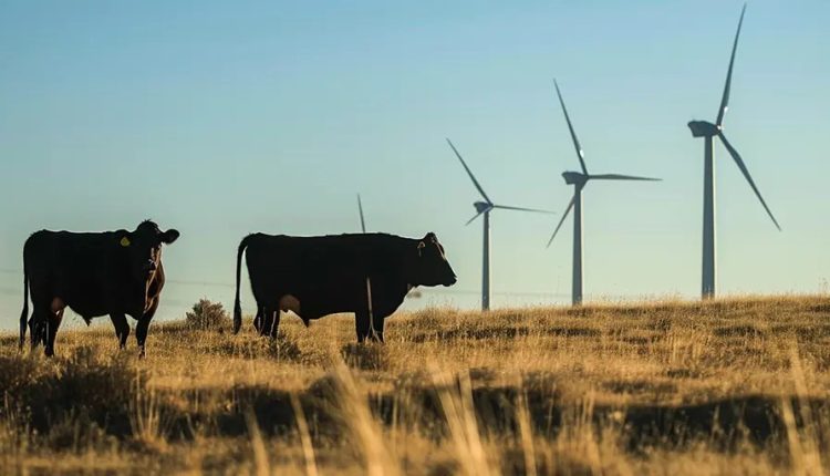 Young industry doesn’t – what’s going on with that?

